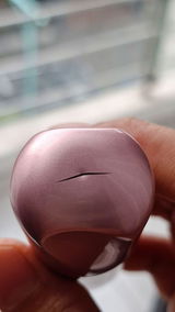 Michelle Gomeri review photo