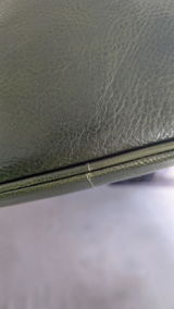 Robin review photo