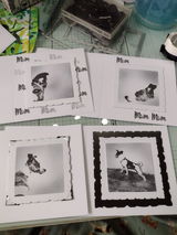Susan Smith review photo