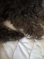 JH review photo
