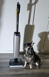 Mimo review photo