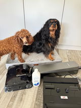 E. review photo