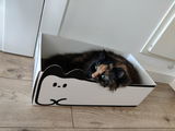 Kasia review photo