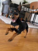 Cassie O. review photo