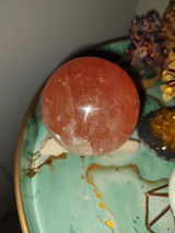 Tara F review photo