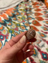 Montana Skillman review photo