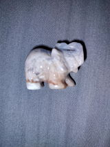 Tara F review photo