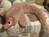 hannu review photo