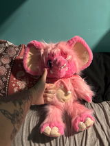 Millie Enthusiast review photo