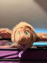 Anonymous review photo