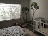 Removable Wall Decals