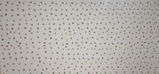 Removable Wall Decals