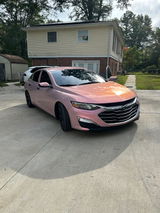 Sierra Shearin review photo