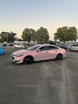 Sierra Shearin review photo