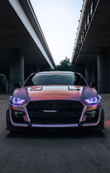 Gstang_916 review photo