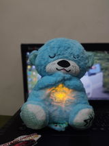 Niki review photo