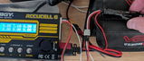 Radipole review photo