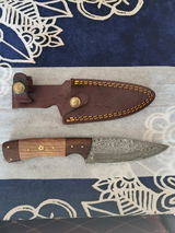 Mr dale review photo