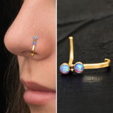 Anjali Z. review photo