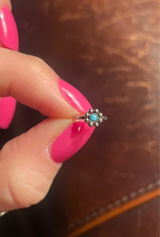 Petra B. review photo
