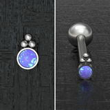 Dakota L. review photo