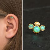 Lyda S. review photo