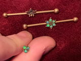 Antonia P. review photo