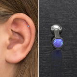 Lauretta Z. review photo