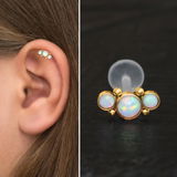 Elissa K. review photo