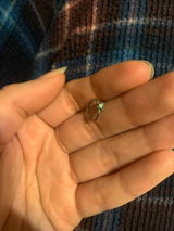 Amalia G. review photo