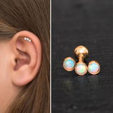 Idella F. review photo
