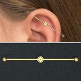 Lindsay S. review photo
