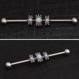 Alessandra B. review photo