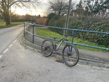Daley2 review photo