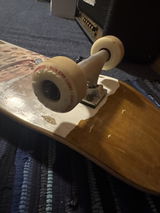 W-Lee review photo