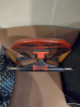 Andree review photo