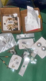 D.Z. review photo