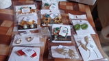 Z.Q. review photo
