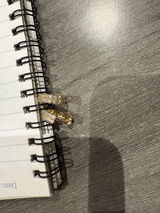 N review photo