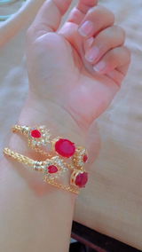 Shaista Anees review photo