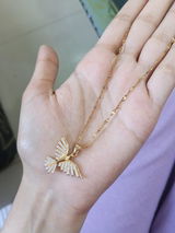 Ambs review photo