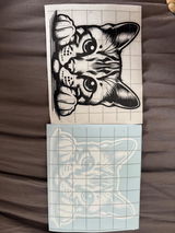 Nela review photo