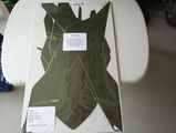 James Stowers review photo