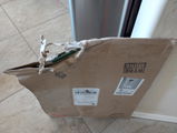 James Stowers review photo