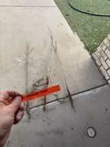 Gardener Jesse review photo