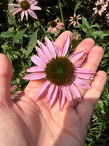 Margie review photo
