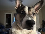 Anonymous review photo