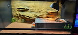 Justin L. review photo