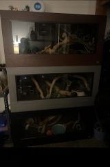 Sophia M. review photo