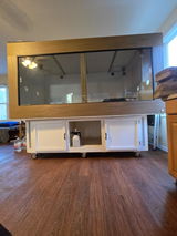 gayle m. review photo
